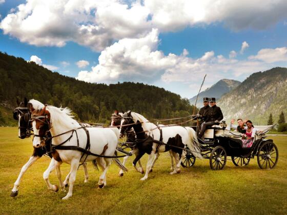 Hochzeitskutsche im Almtal