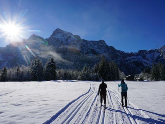 Langlaufloipe Almsee