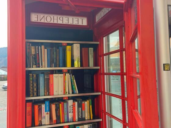 Bücherbox