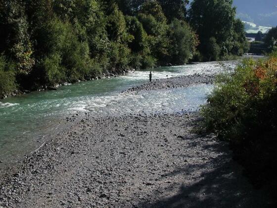 Fischen in der Alm