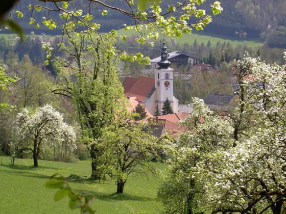 Viechtwang im Frühling