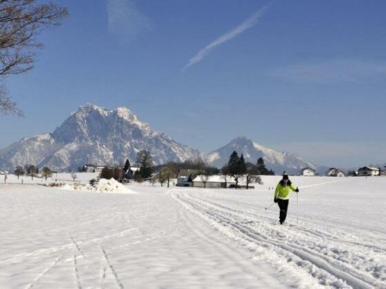 Loipe Traunkirchen Mitterndorf