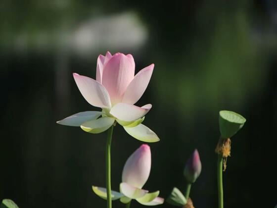 Energetik &amp; Kinesiologie Stadler Berneggre Irmgard