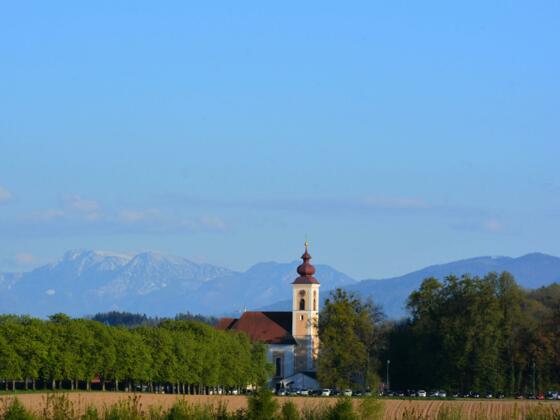 Pfarrkirche Bad Wimsbach-Neydharting