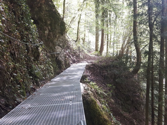 Langweilsteg Brücke