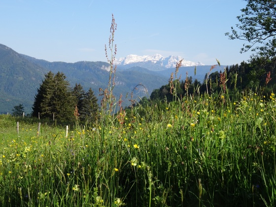 Blick auf die Loferer Steinberge