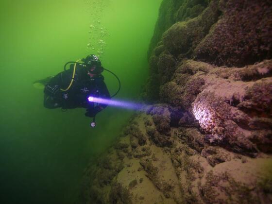 Adventure Diving - Taucher