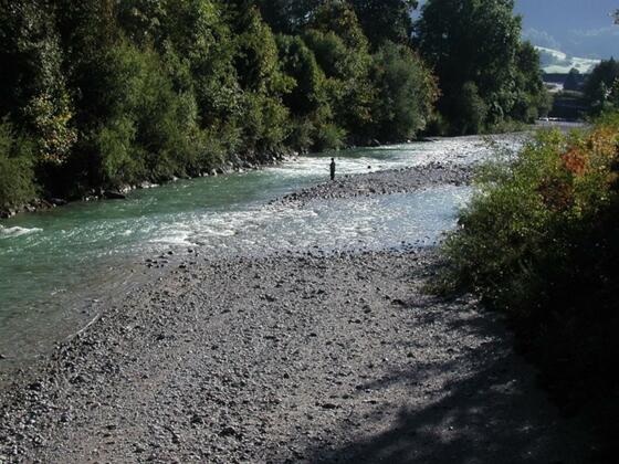 Fischen in der Alm