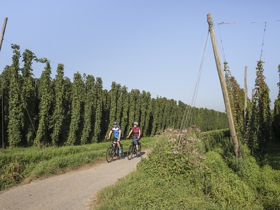 Hallertautour zwischen Nandlstadt und Rudelzhausen