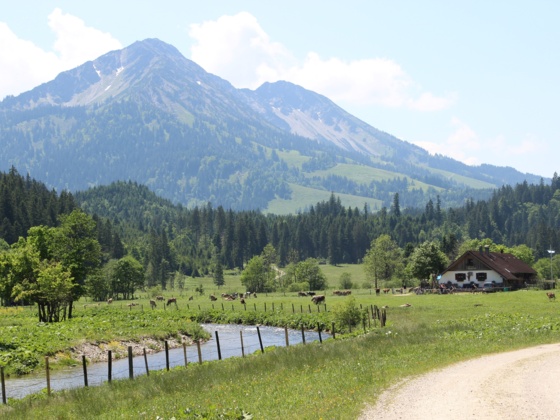 Kalbelehof Alpe