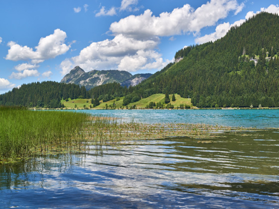 Haldensee