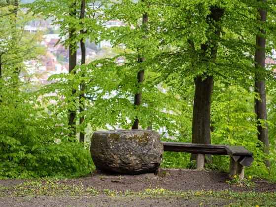 Heidenopferstein Bad Kissingen