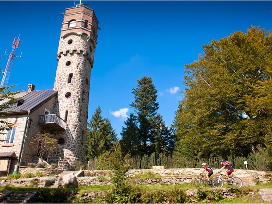 Ameisberg Runde