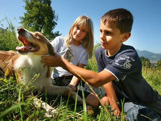 Tierärztin Dr. Martina Feischl