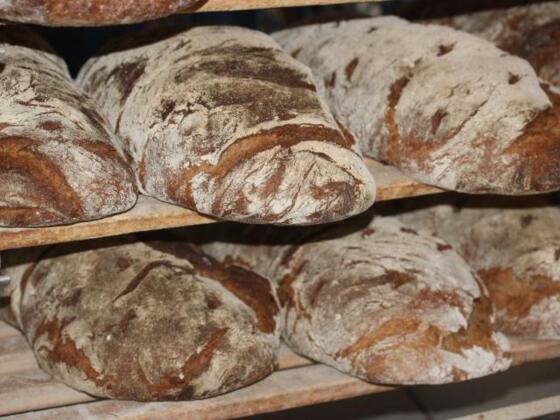 Bäckerei-Bitesnich
