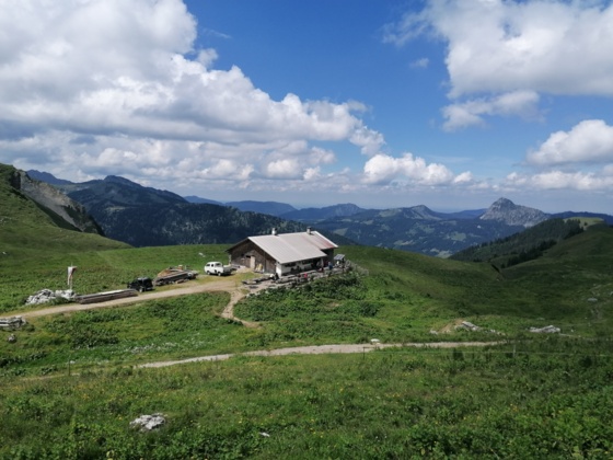 Gappenfeldalpe