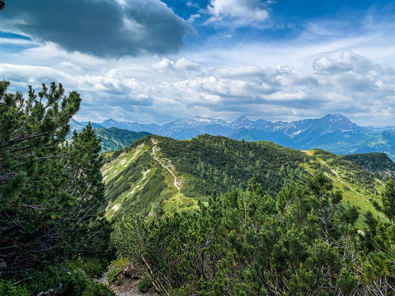 Blick zurück auf den Wanderweg