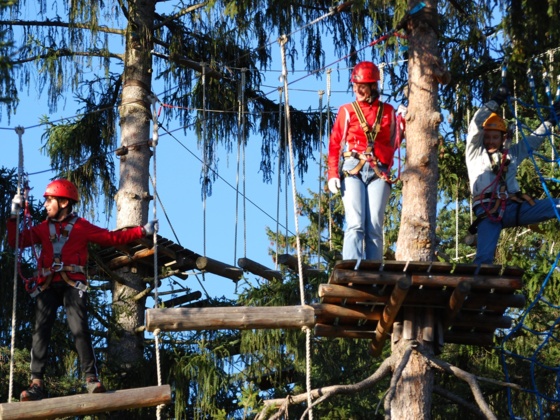 Kletterwald
