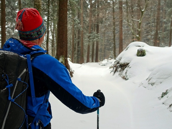 Auf dem Winterwanderweg vom Bödele zum Älpele