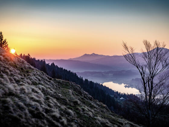 Der Alpsee spiegelt im Sonnenaufgang