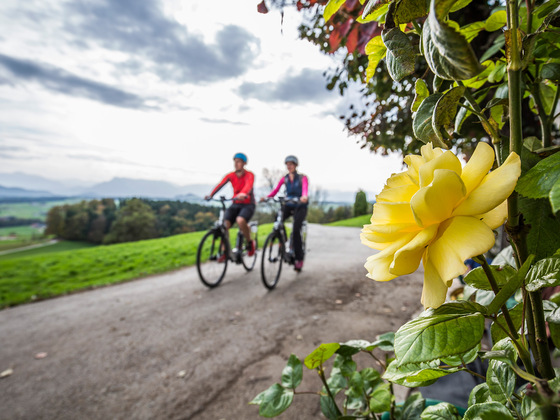Radfahren auf dem Bodensee Königssee Radweg