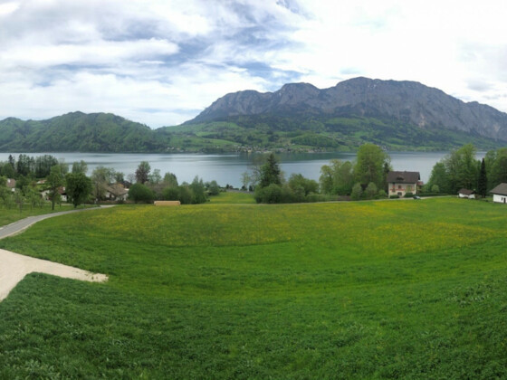 Panorama, Seeblick Steinbichler