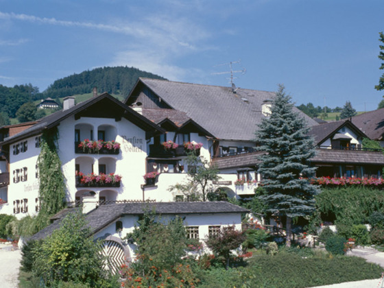 Frühstückspension Hanslmann Steinbach am Attersee