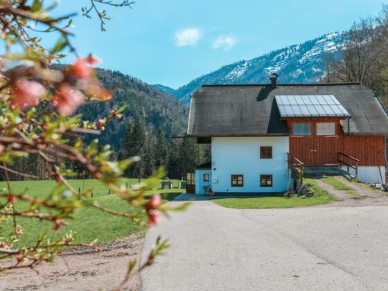 Bauernhof_1