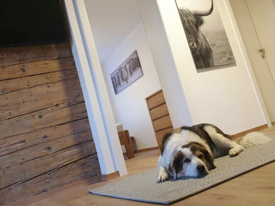 Ferienhaus Pesendorfer - Ferienwohnung Eiche_