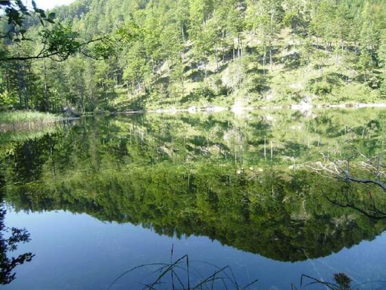 Eibensee