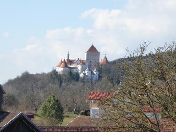 Blick auf Schloß Wörth