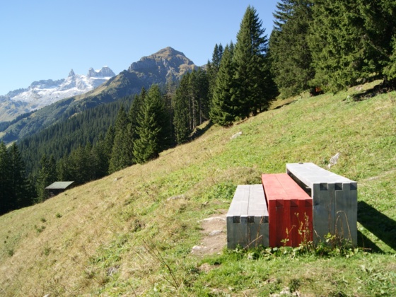 Tribüne