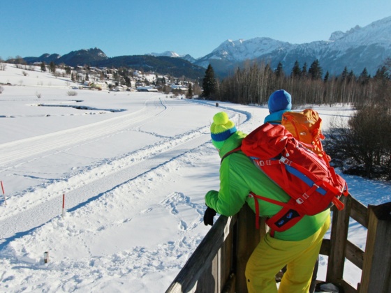Ausblick vom Aussichtsturm im Berger Moos