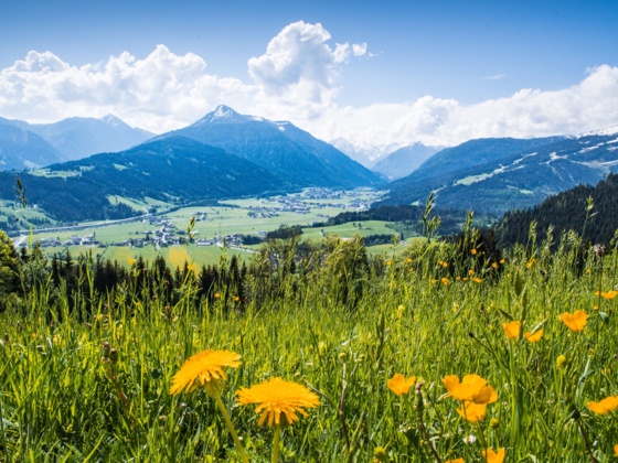 Blick ins Flachautal