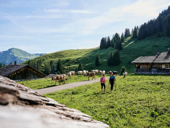 Auf dem Weg zur Alpe Steris