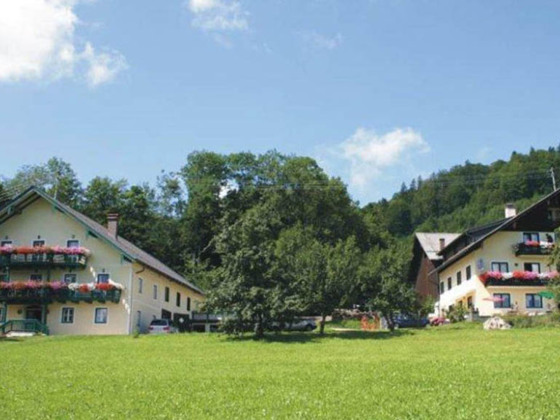 Seepension Steiningerhof