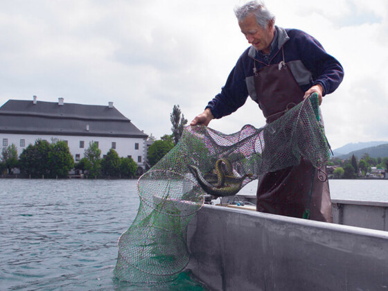 Fischerei Ecker - Herr Ecker am mit Reuse
