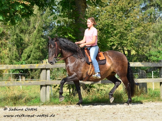 2021-Reitkunst Carmen Fromm