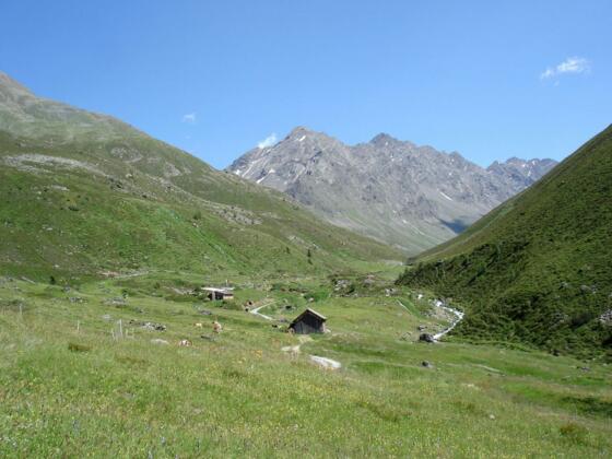 Zwieselbach Alm