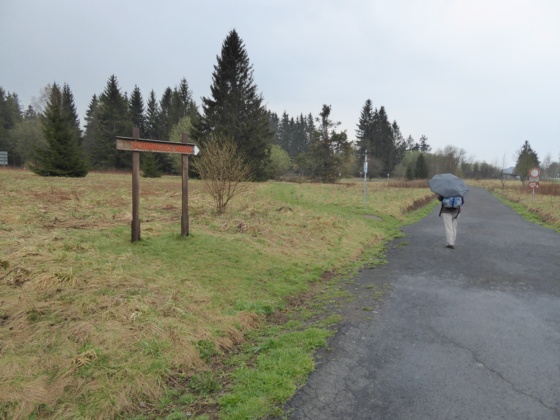Weg ins Schwarze Moor