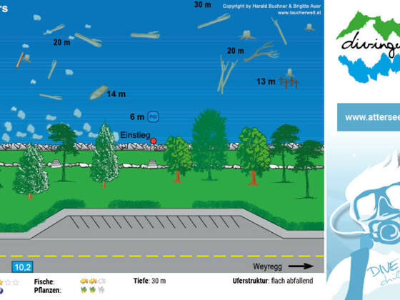 tauchplatz_twin_towers