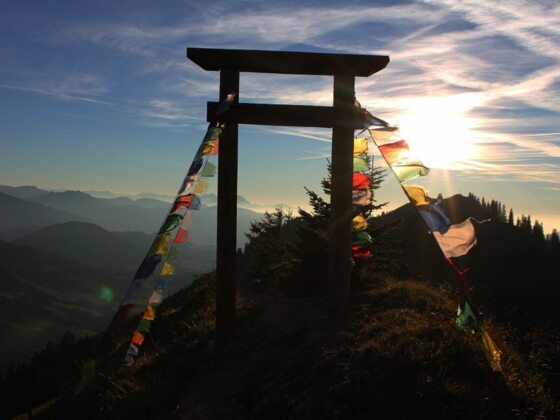 Porta Alpinae am Hochgrat