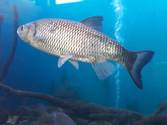 20200927_Aquarium (5) tour