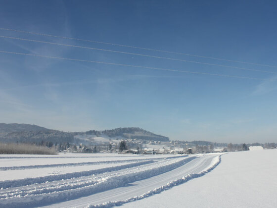Langlaufen in der Region Attersee-Attergau