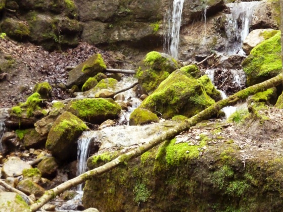 Natur pur in der Feuersteinschlucht.
