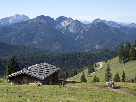 Kümpflalm