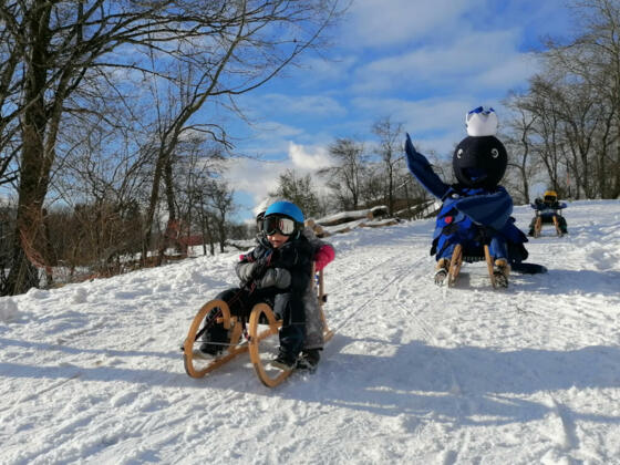 Rodeln_Abfahrt_mit_Perla_Tourismusverband_Attersee-Attergau_Asisa_WiespointnerTD