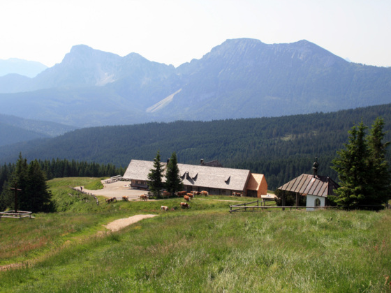 Inzell-Stoißeralm: Die grandiose Aussicht zum Chiemsee und Salzburger Land genießen.