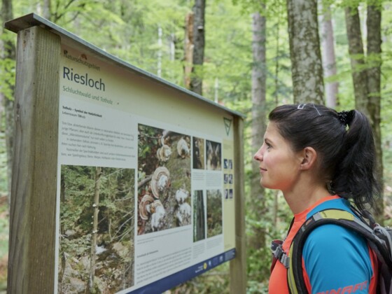 Rißlochschlucht