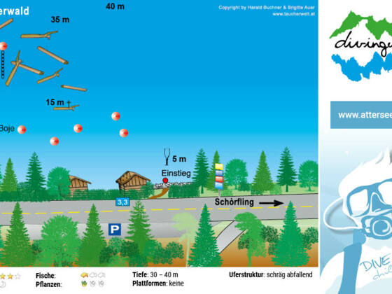 tauchplatz_unterwasserwald
